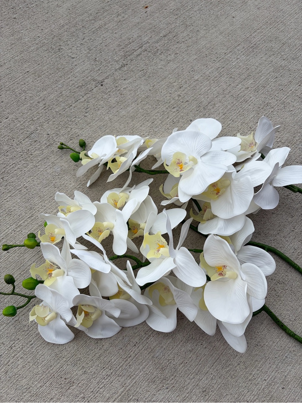 13 Fnize Orchid Stems Artificial Flowers Real Touch Latex White 38 inch